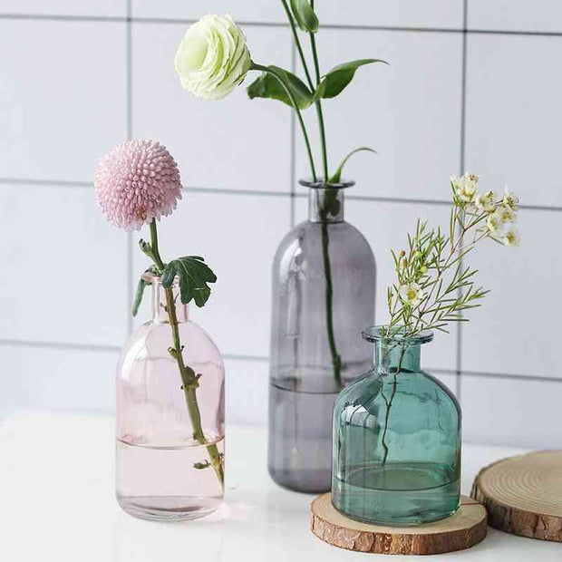 Vase Living Room Dried Flowers Nordic Ins Style Glass Transparent Dill Home Decoration Accessories Flower Vases For Homes.